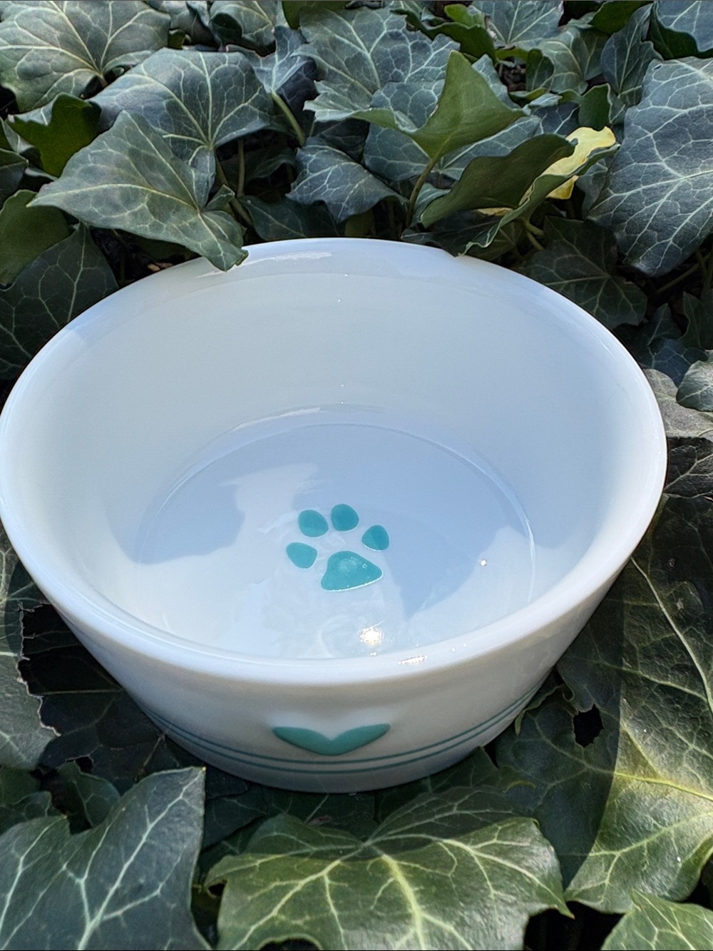 White Ceramic Dog Bowl with Teal Paw Accent